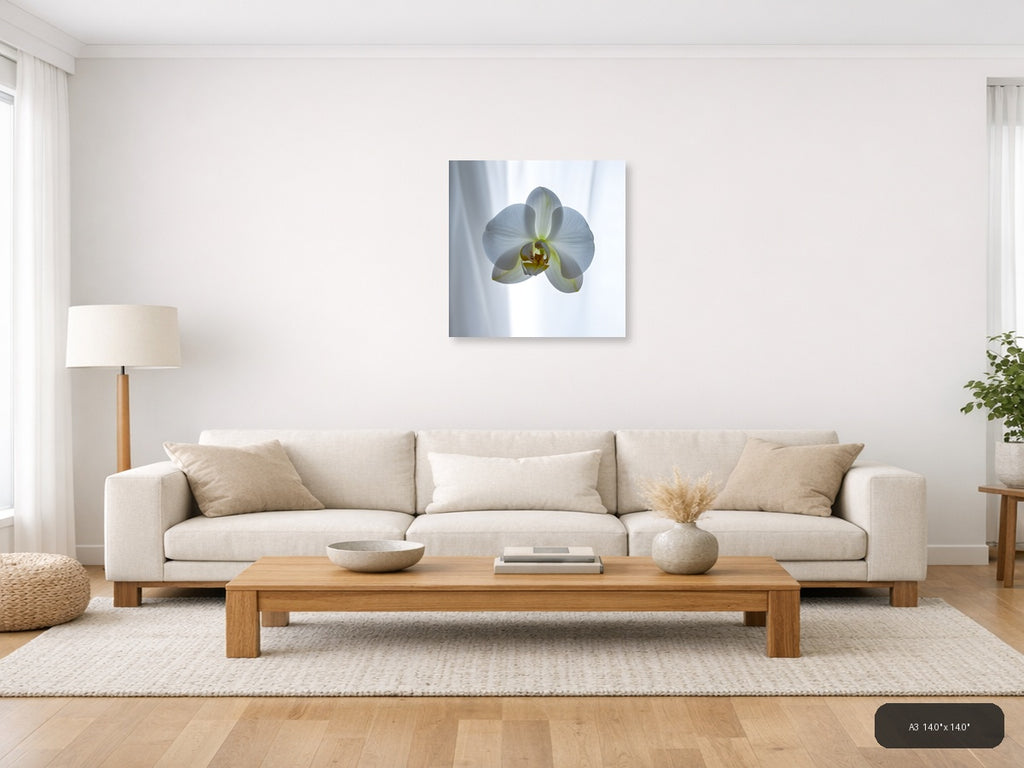 White Orchid Minimalist Botanical Wall Art — A3 / Living Room