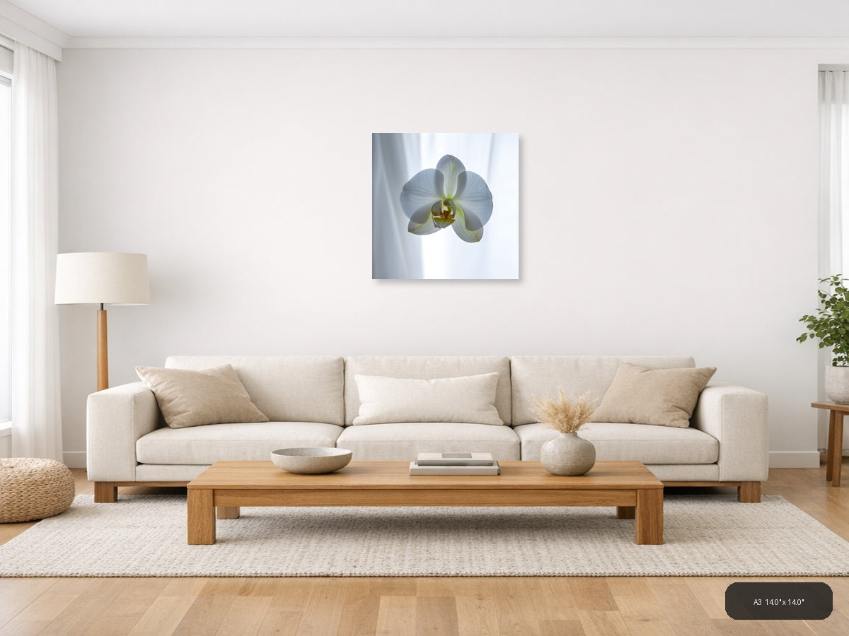 White Orchid Minimalist Botanical Wall Art — A3 / Living Room