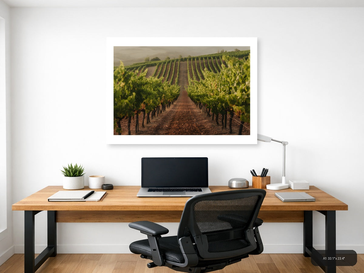 Misty Vineyard Rows Minimalist Landscape Wall Art — A1 / Office