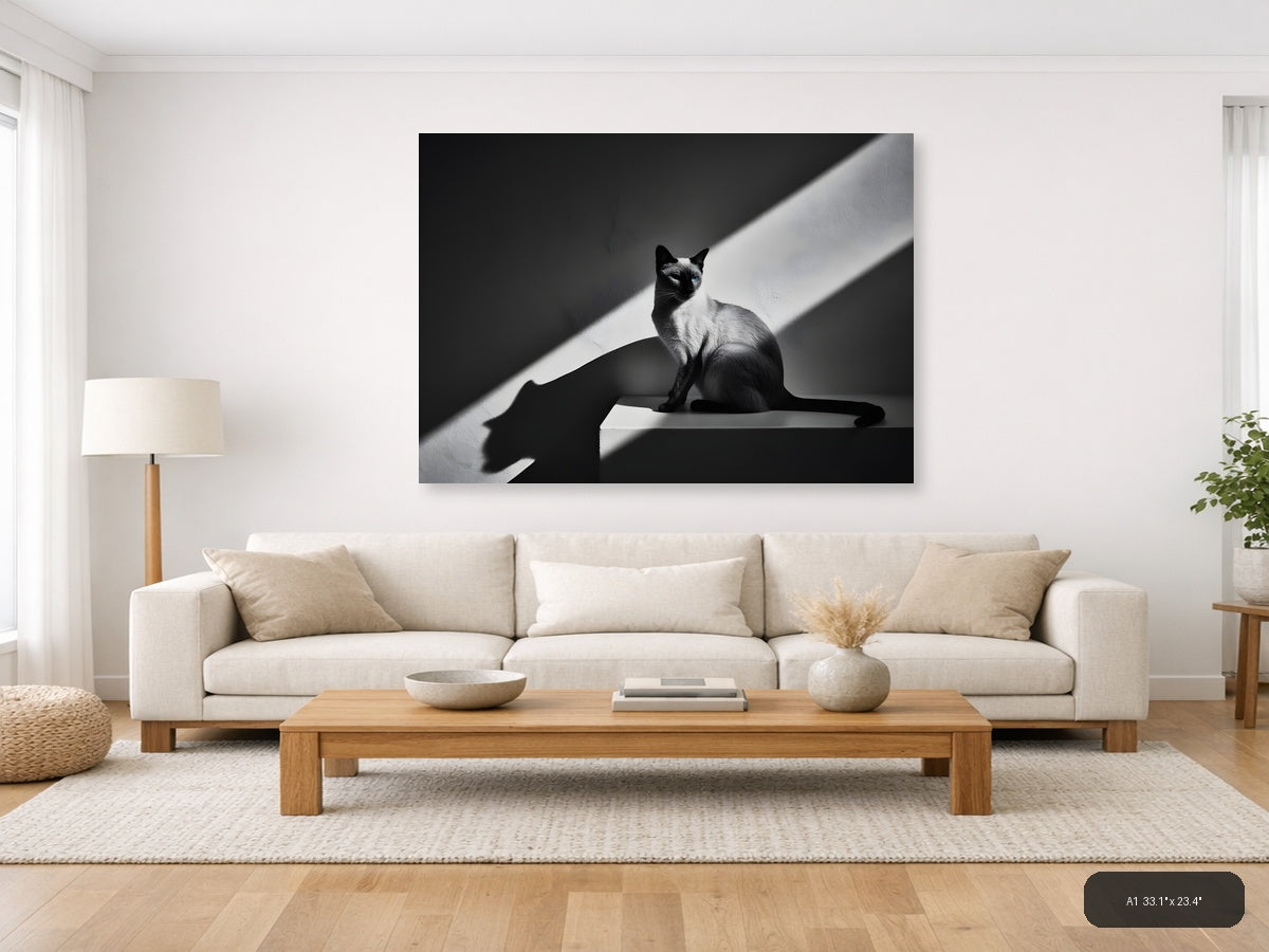 Siamese Cat in Sunlight - Black White Photography Wall Art — A1 / Living Room