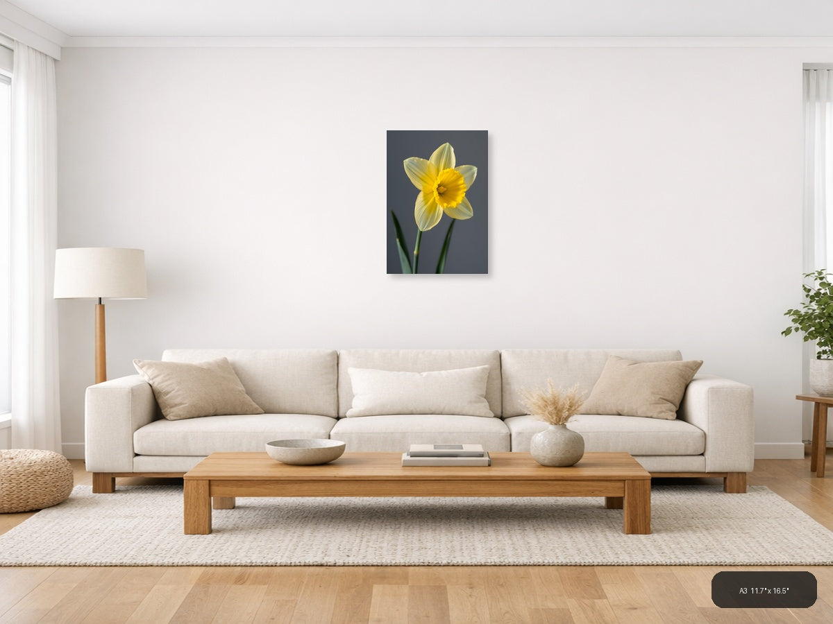 Yellow Daffodil Minimalist Flower Portrait Wall Art — A3 / Living Room