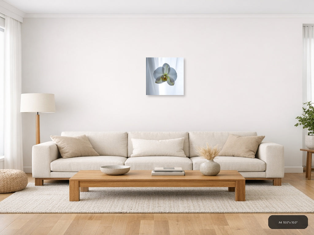 White Orchid Flower Minimalist Botanical Wall Art — A4 / Living Room