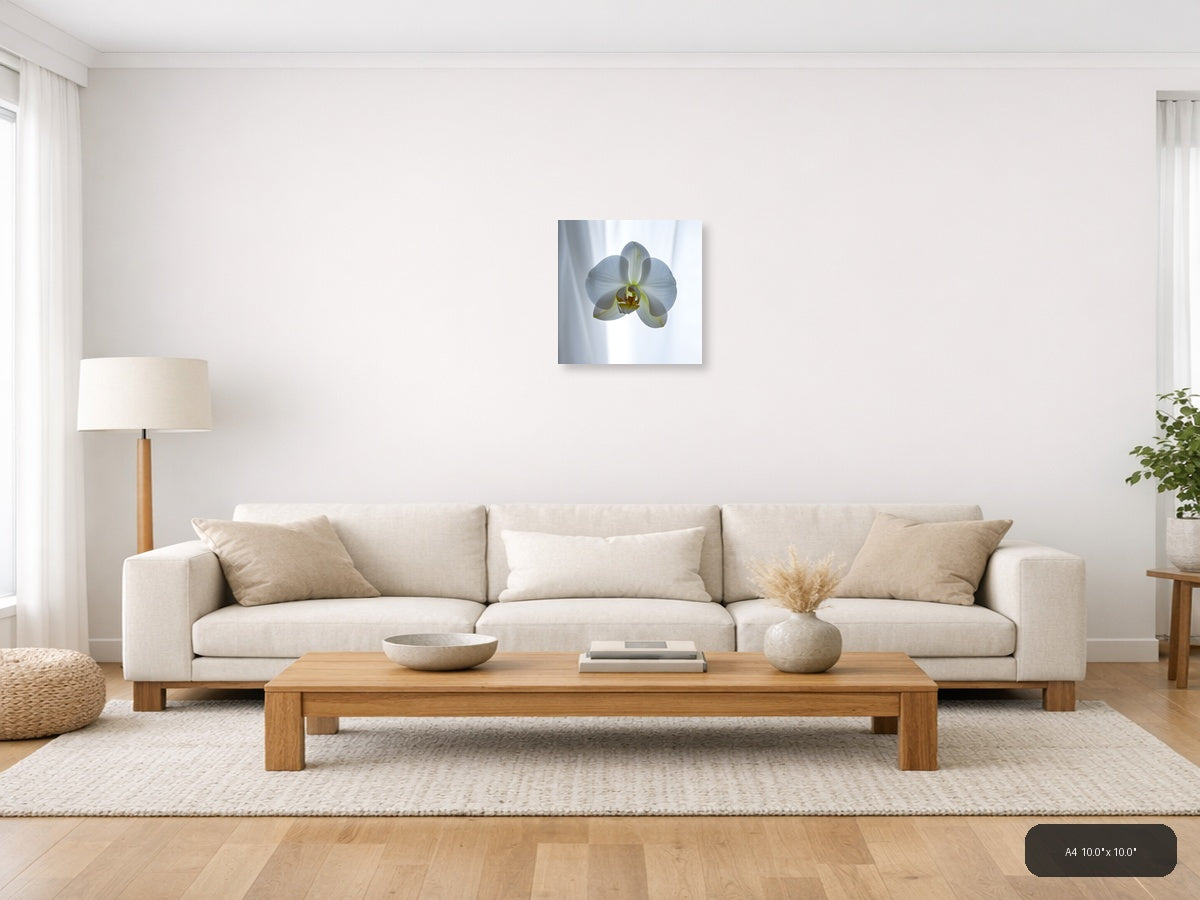 White Orchid Flower Minimalist Botanical Wall Art — A4 / Living Room