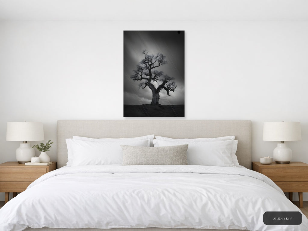 Bare Tree in Storm Rain Black and White Photography Wall Art — A1 / Bedroom
