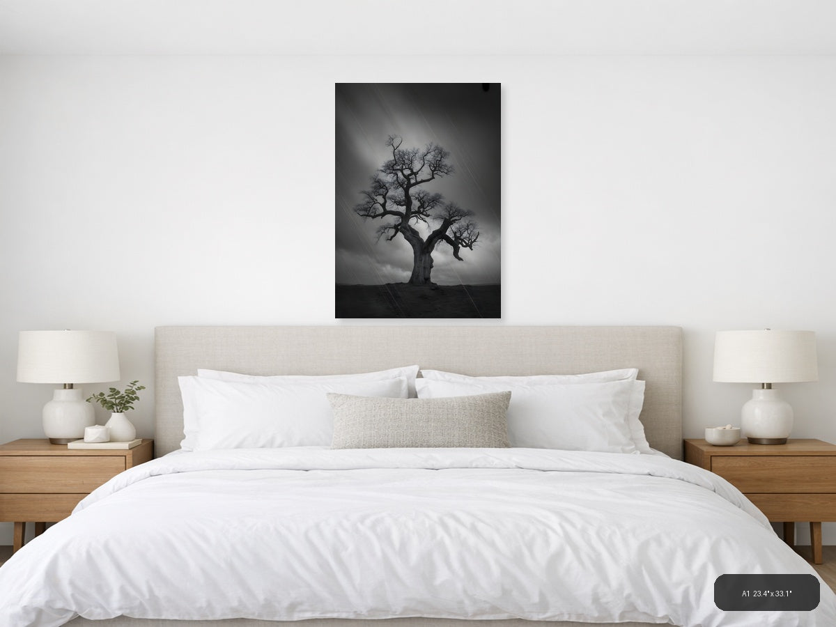 Bare Tree in Storm Rain Black and White Photography Wall Art — A1 / Bedroom