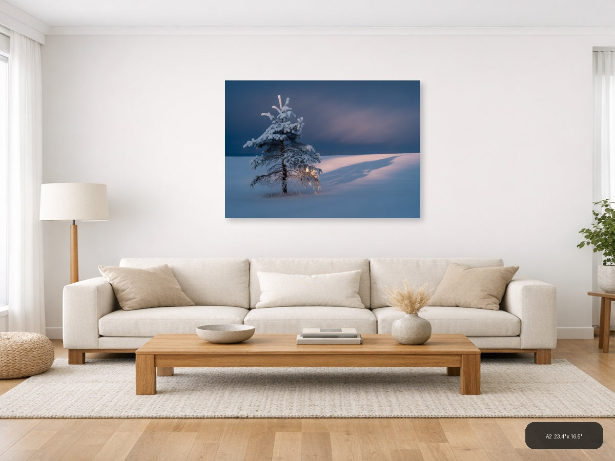 Frost-Covered Pine Tree in Winter Landscape Photography Wall Art — A2 / Living Room