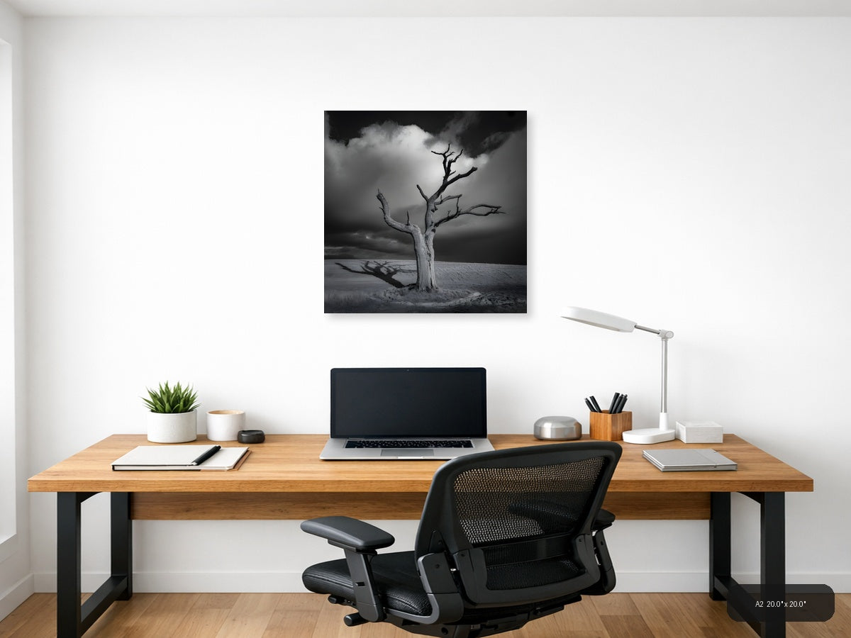Dead Tree in Desert Landscape Black and White Photography Wall Art — A2 / Office