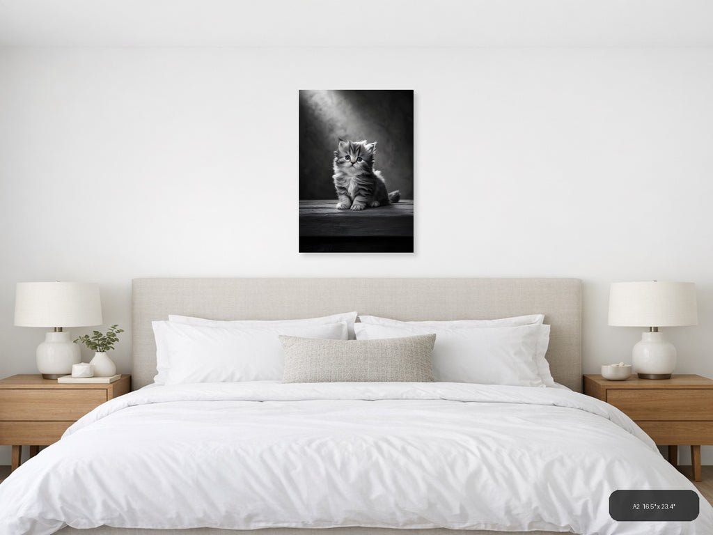 Fluffy Kitten Portrait Black and White Photography Wall Art — A2 / Bedroom