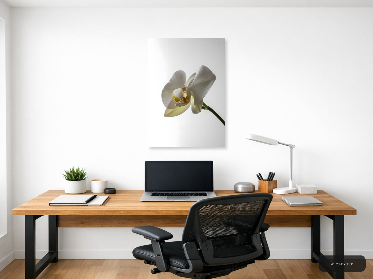 White Orchid Flower Minimalist Portrait Wall Art — A1 / Office