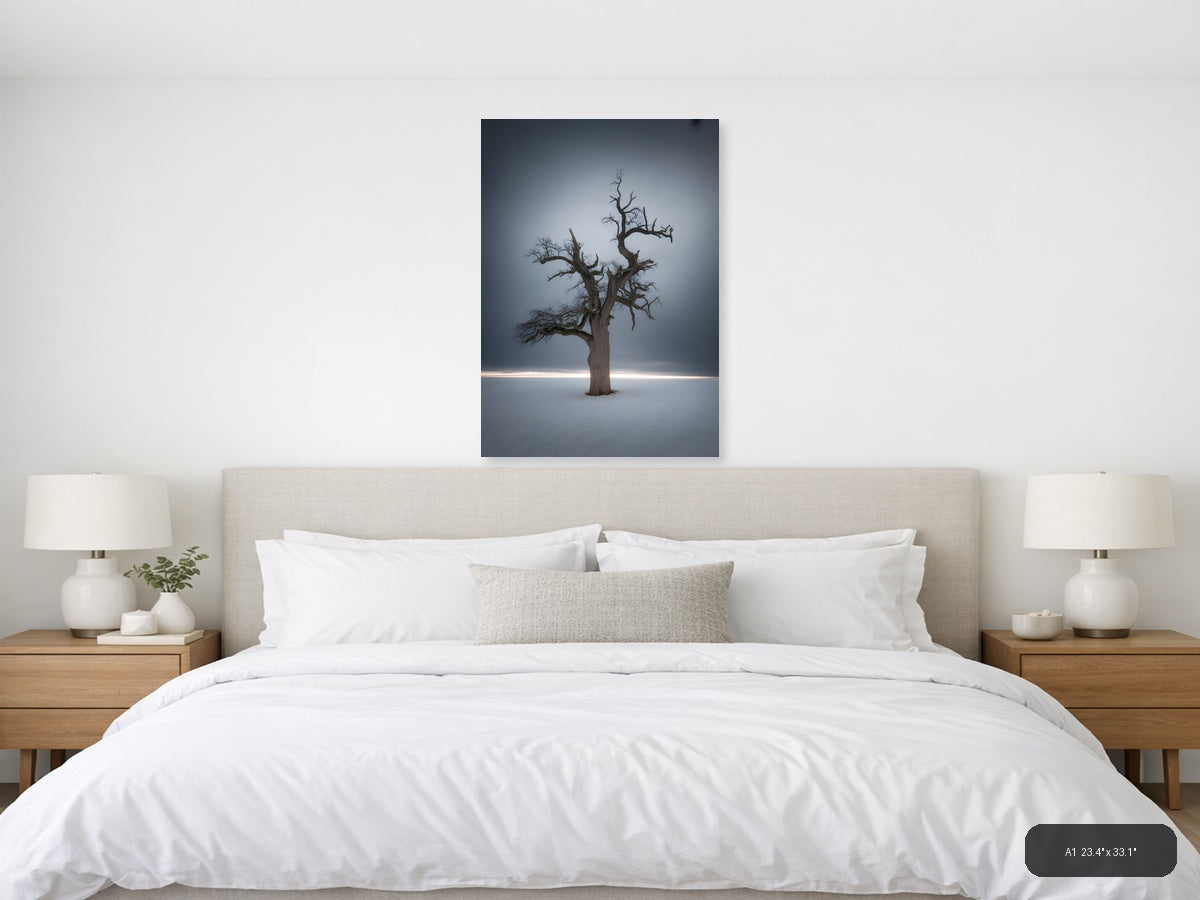 Bare Dead Tree in Snow Storm Photography Wall Art — A1 / Bedroom