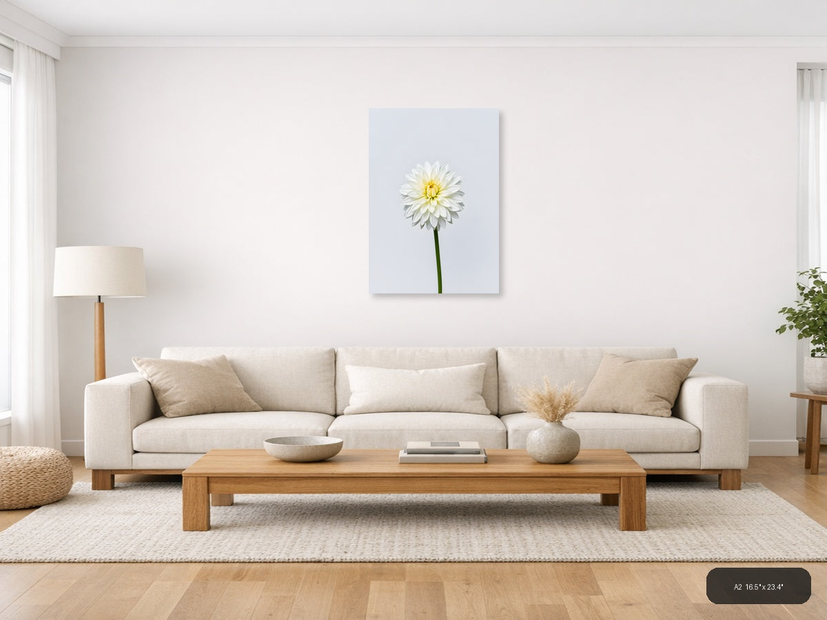 White Dahlia with Yellow Center Minimalist Wall Art — A2 / Living Room