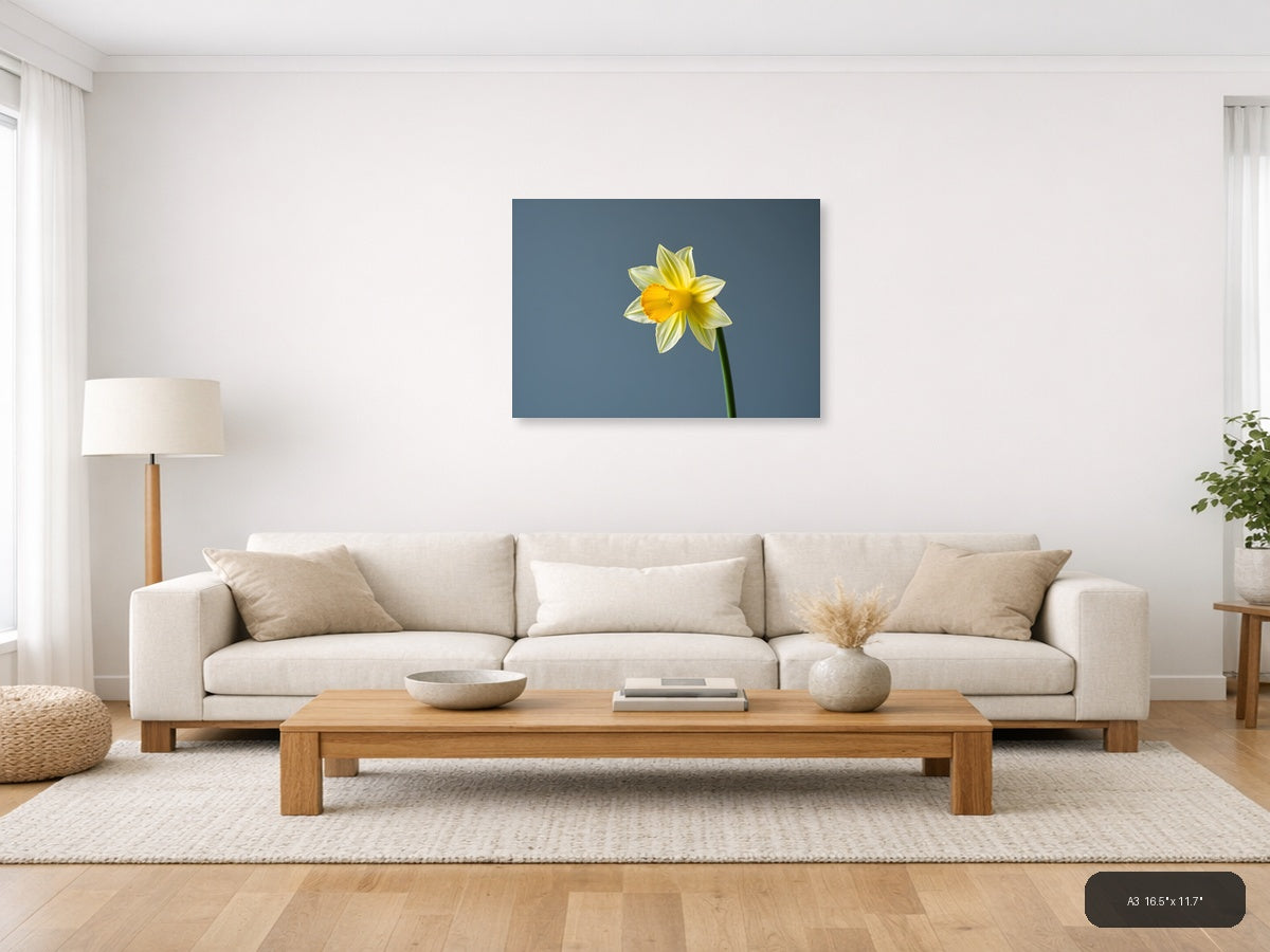 Yellow Daffodil Minimalist Flower Wall Art — A3 / Living Room
