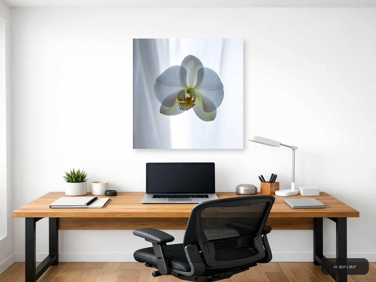 White Orchid Minimalist Botanical Wall Art — A1 / Office