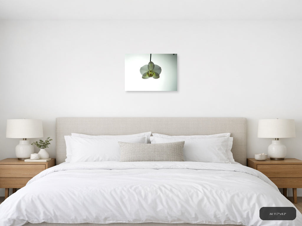White Orchid Minimalist Botanical Wall Art — A4 / Bedroom