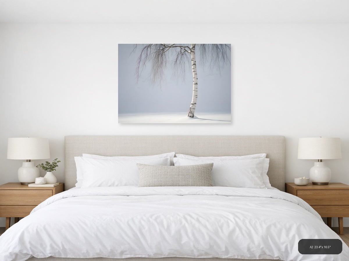 Minimalist Winter Birch Tree in Snow Landscape Wall Art — A2 / Bedroom