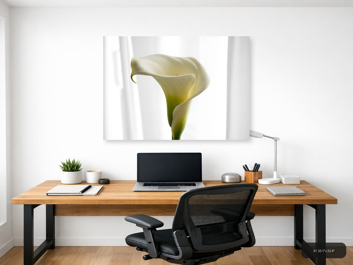 White Calla Lily Minimalist Botanical Wall Art — A1 / Office