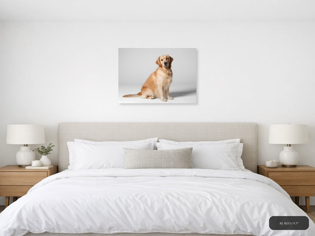 Golden Retriever Portrait Minimalist Wall Art — A3 / Bedroom