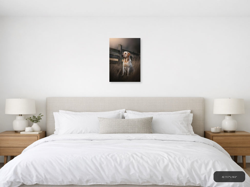 Golden Labrador by Rustic Fence Photography Wall Art — A3 / Bedroom