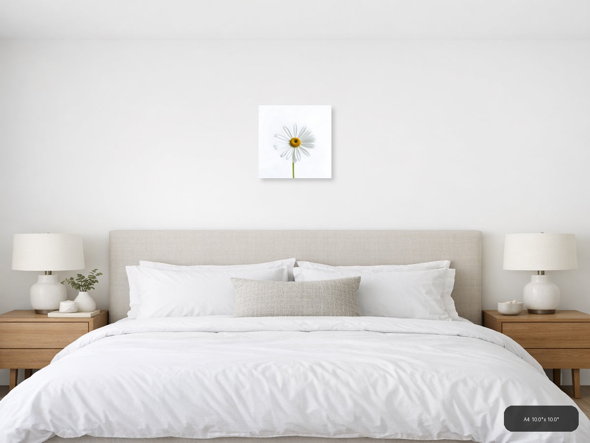 White Daisy with Yellow Center Minimalist Wall Art — A4 / Bedroom