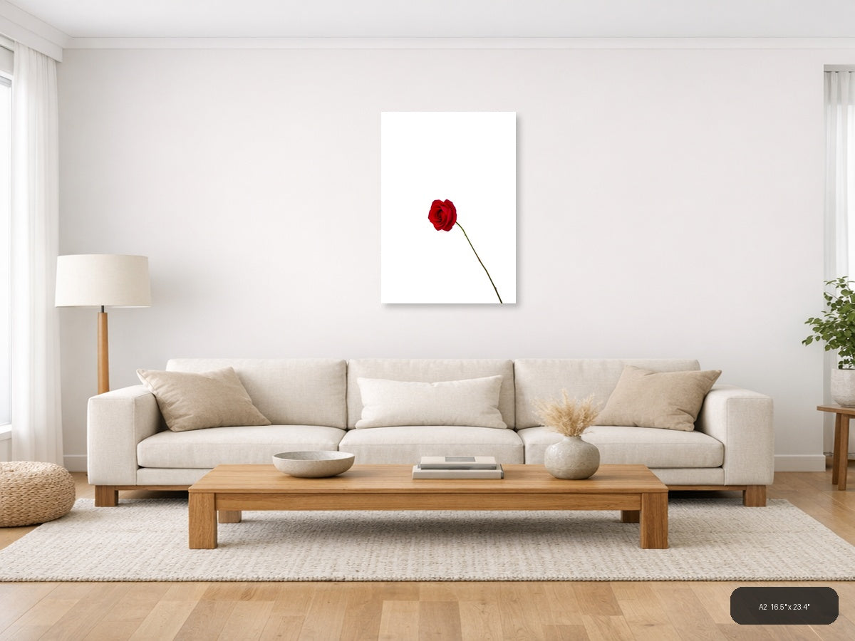 Red Rose on White Minimalist Portrait Wall Art — A2 / Living Room