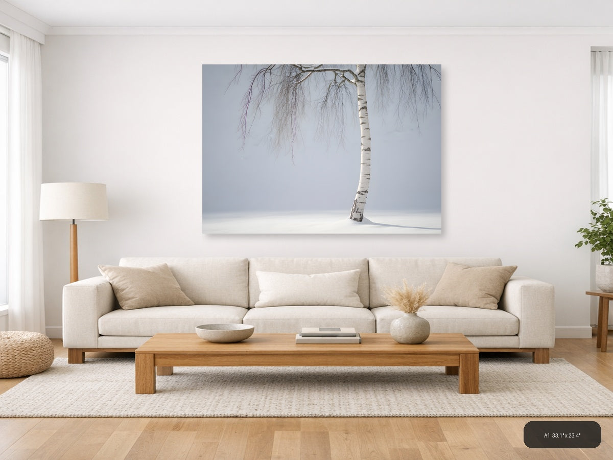 Minimalist Winter Birch Tree in Snow Landscape Wall Art — A1 / Living Room