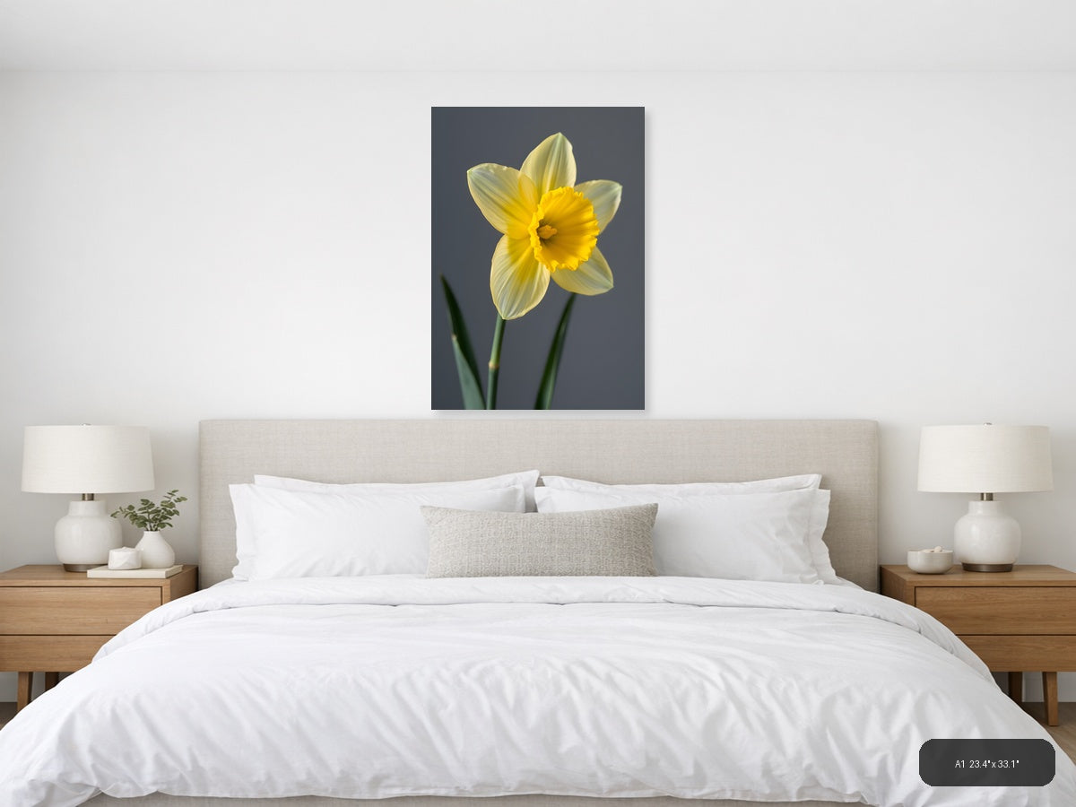 Yellow Daffodil Minimalist Flower Portrait Wall Art — A1 / Bedroom