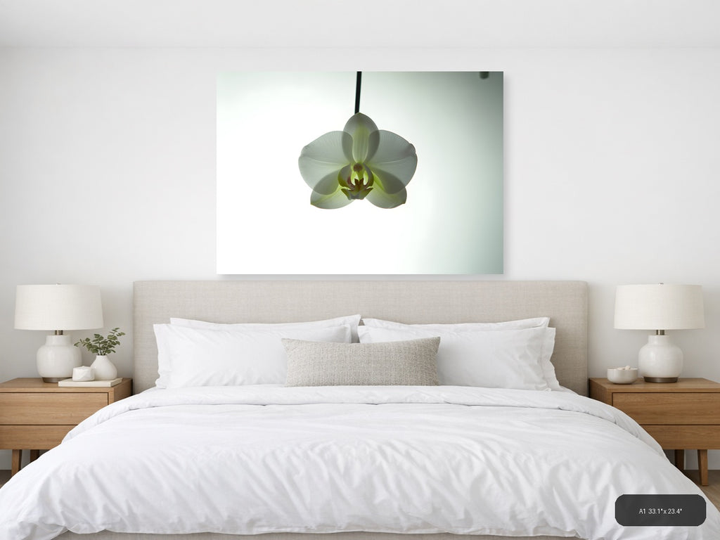 White Orchid Minimalist Botanical Wall Art — A1 / Bedroom