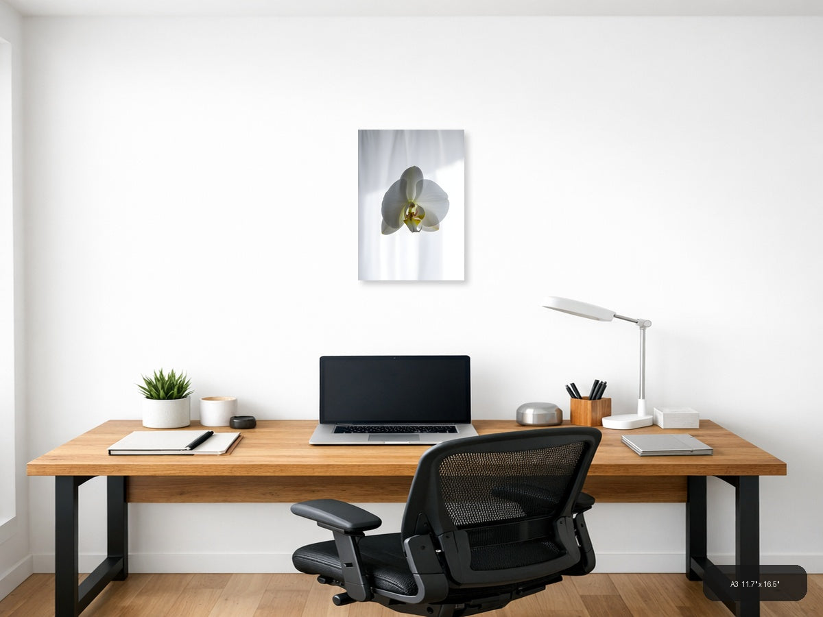 White Orchid Minimalist Botanical Portrait Wall Art — A3 / Office