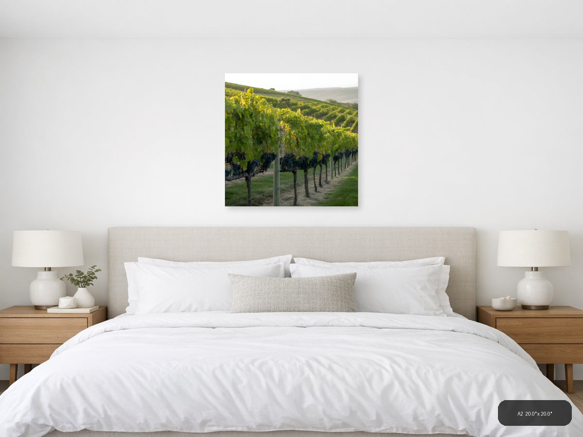 Vineyard Rows at Golden Hour - Minimalist Wall Art — A2 / Bedroom