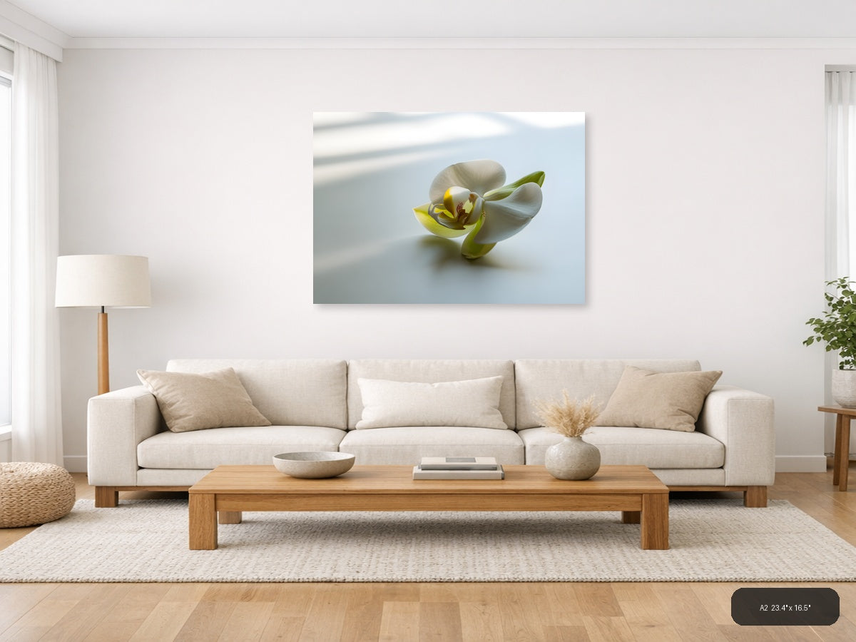 White Orchid with Yellow Center Minimalist Wall Art — A2 / Living Room
