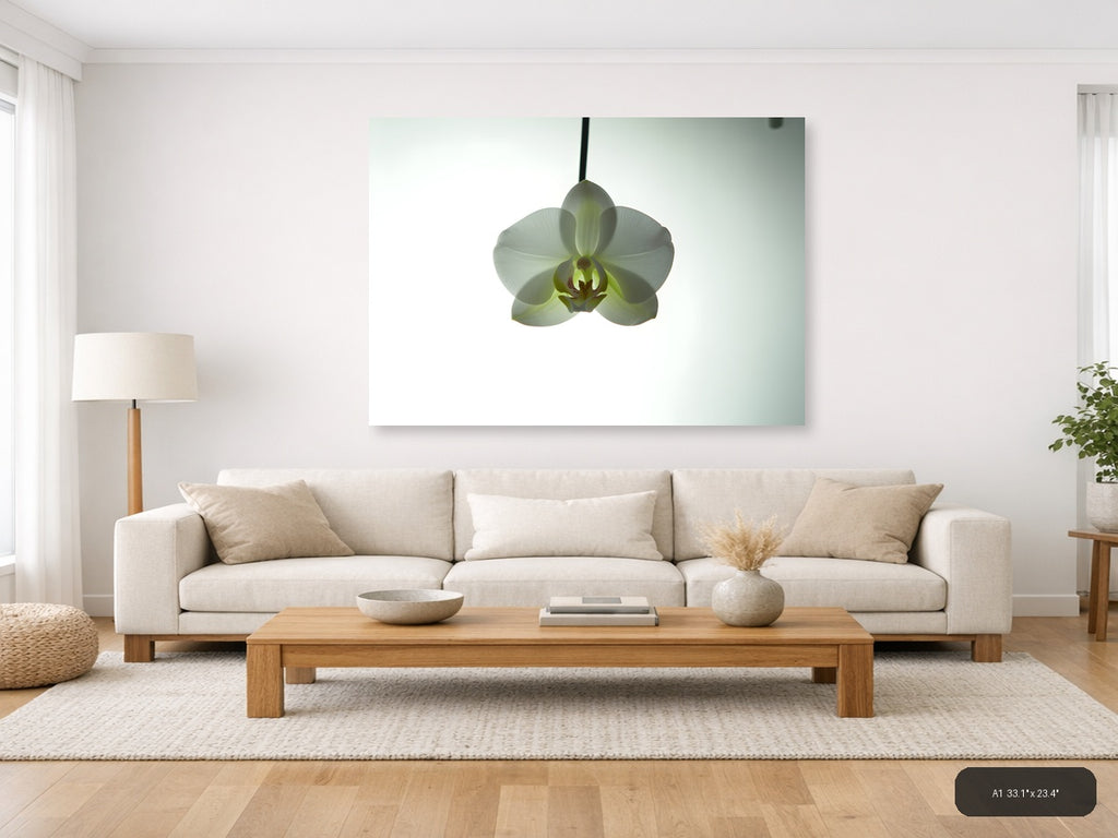 White Orchid Minimalist Botanical Wall Art — A1 / Living Room