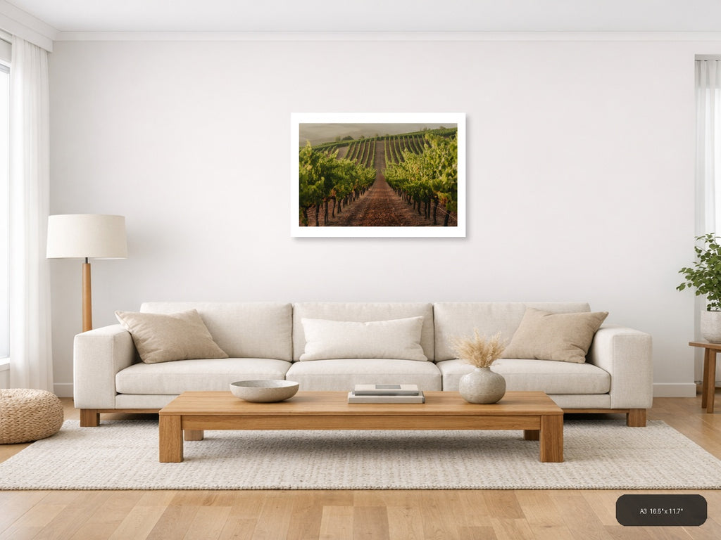 Misty Vineyard Rows Minimalist Landscape Wall Art — A3 / Living Room