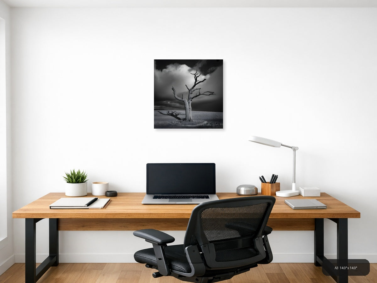 Dead Tree in Desert Landscape Black and White Photography Wall Art — A3 / Office