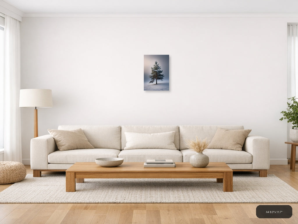 Solitary Pine Tree in Snow - Winter Photography Wall Art — A4 / Living Room