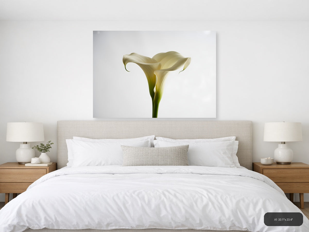 White Calla Lily Minimalist Botanical Wall Art — A1 / Bedroom