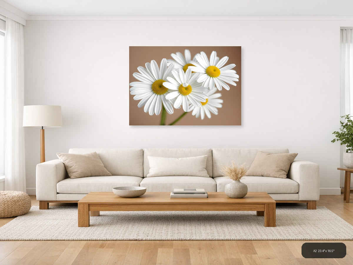White Daisies with Yellow Centers Minimalist Wall Art — A2 / Living Room