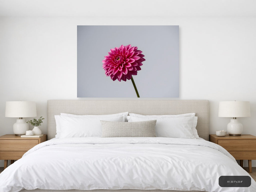 Pink Dahlia Minimalist Flower Wall Art — A1 / Bedroom