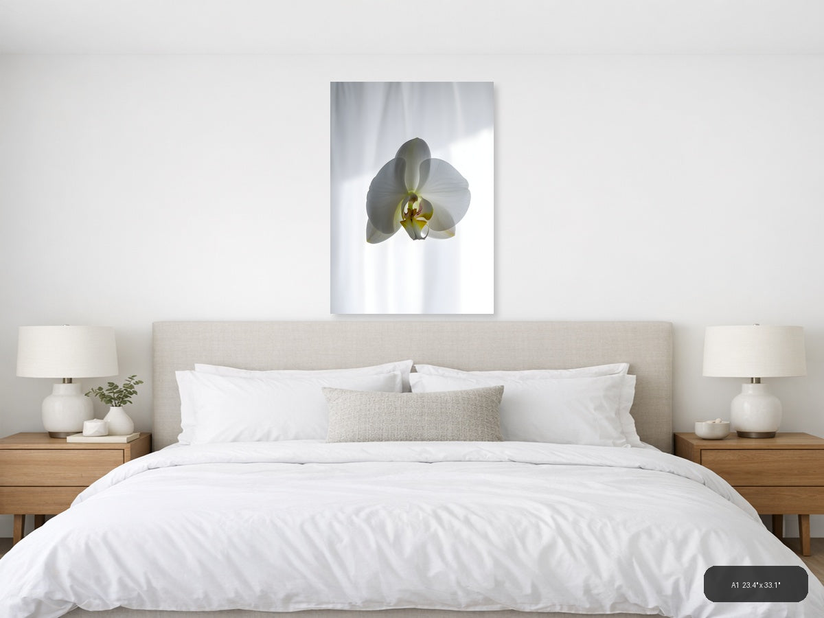 White Orchid Minimalist Botanical Portrait Wall Art — A1 / Bedroom