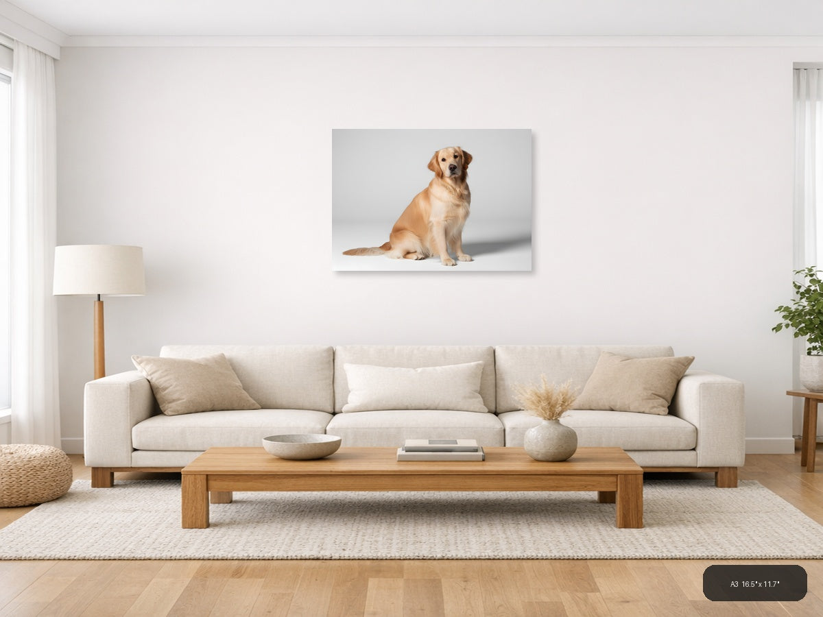 Golden Retriever Portrait Minimalist Wall Art — A3 / Living Room