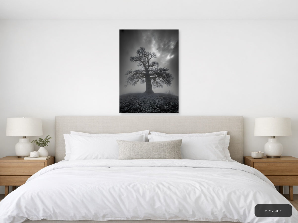Bare Tree in Mist - Black & White Photography Wall Art — A1 / Bedroom