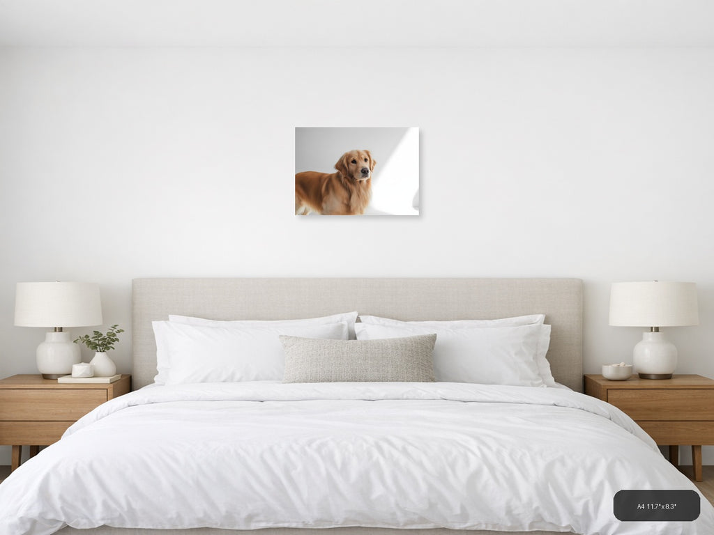 Golden Retriever Portrait Minimalist Wall Art — A4 / Bedroom