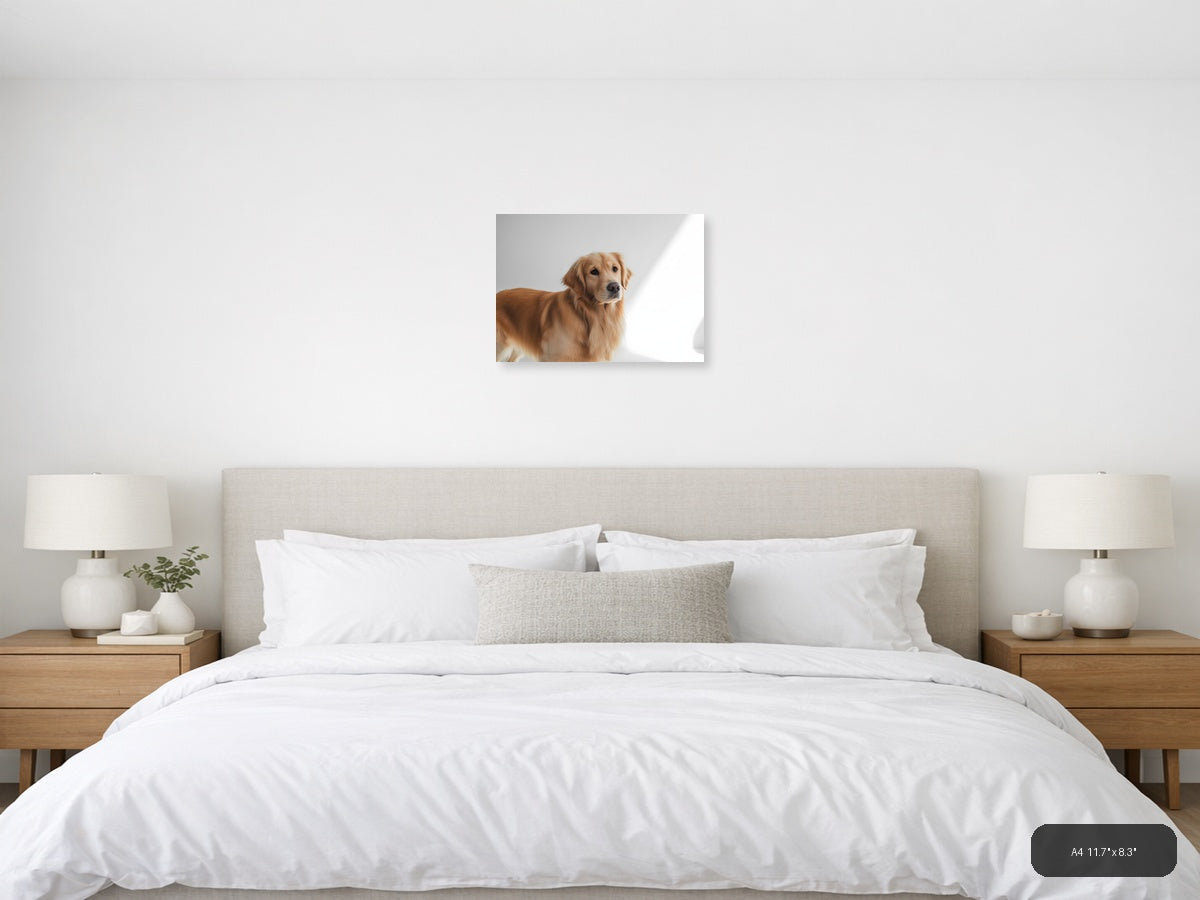 Golden Retriever Portrait Minimalist Wall Art — A4 / Bedroom