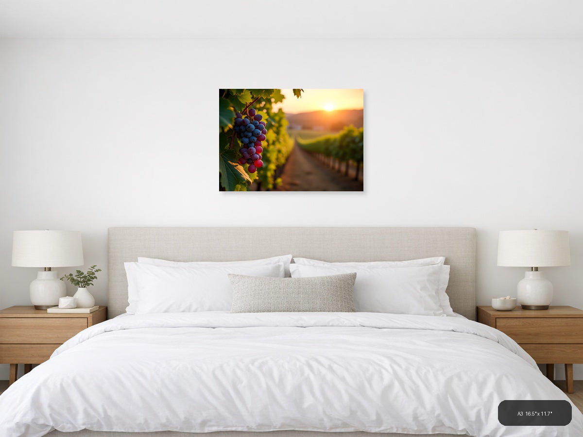Vineyard Sunset with Purple Grapes Photography Wall Art — A3 / Bedroom