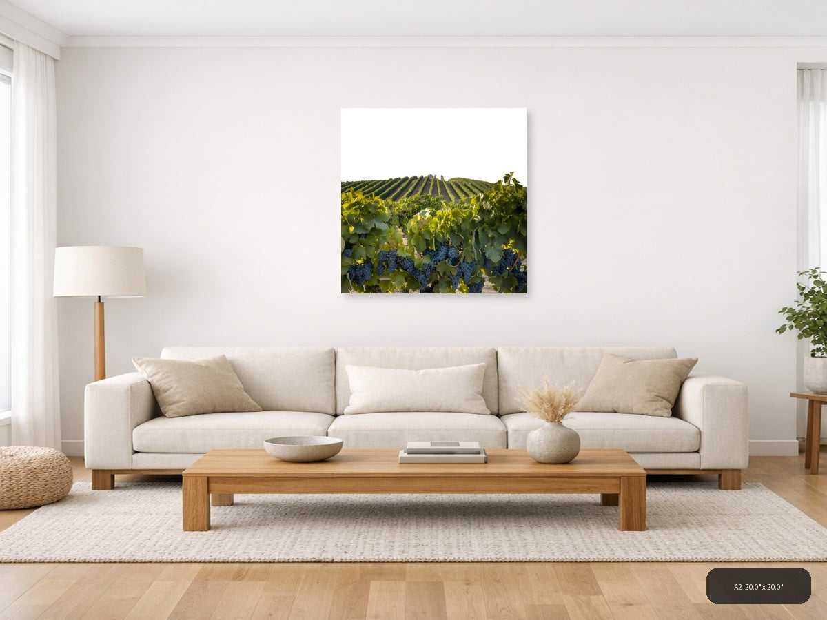 Vineyard Harvest Landscape Minimalist Wall Art — A2 / Living Room
