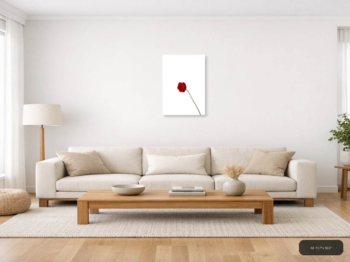 Red Rose on White Minimalist Portrait Wall Art — A3 / Living Room