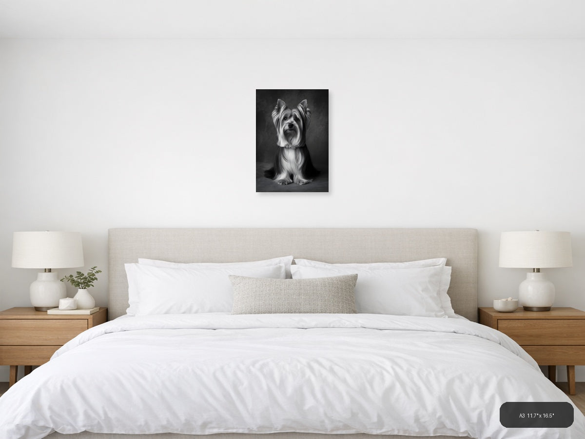 Shih Tzu Portrait Black and White Photography Wall Art — A3 / Bedroom