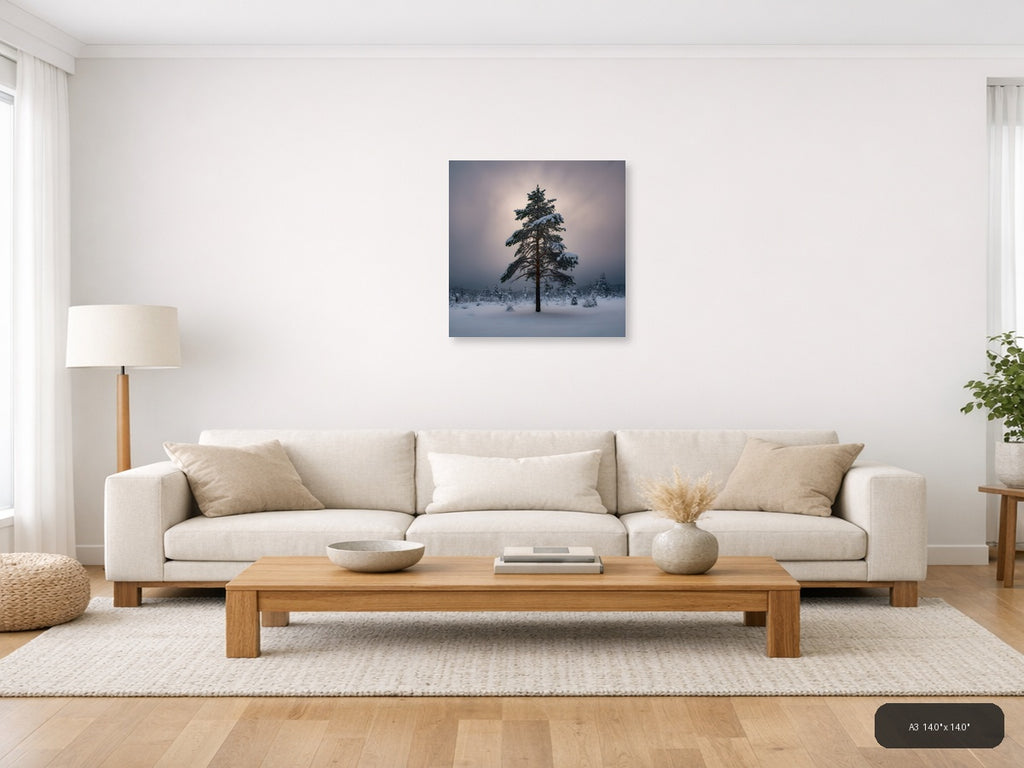 Snow-Covered Pine Tree Winter Forest Photography Wall Art — A3 / Living Room