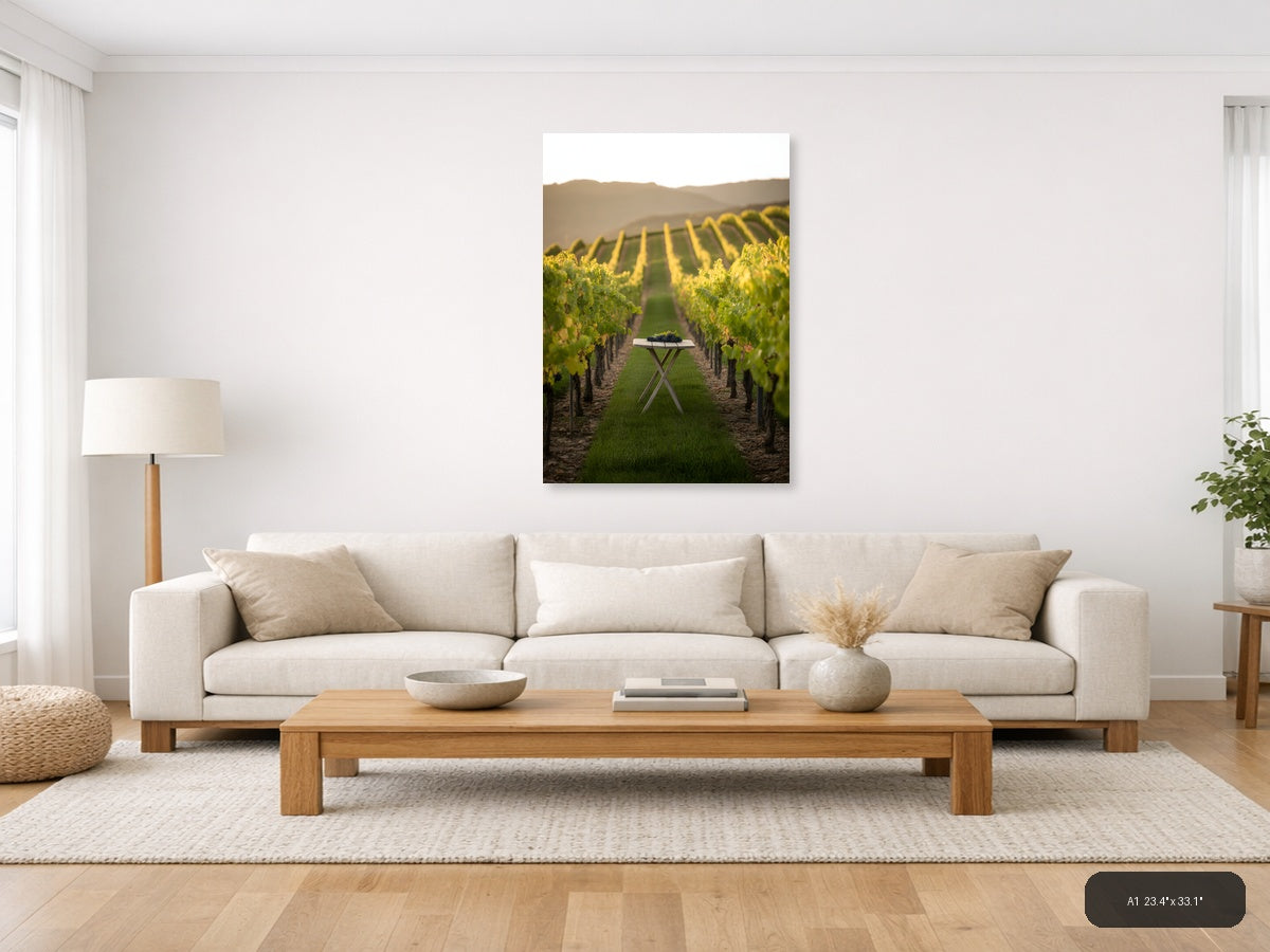 Vineyard Harvest Minimalist Photography Wall Art — A1 / Living Room