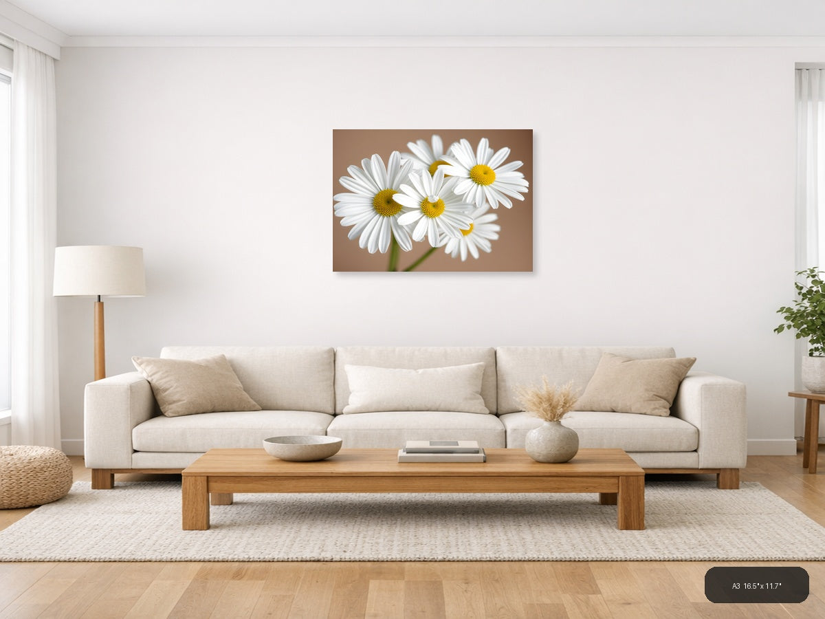 White Daisies with Yellow Centers Minimalist Wall Art — A3 / Living Room