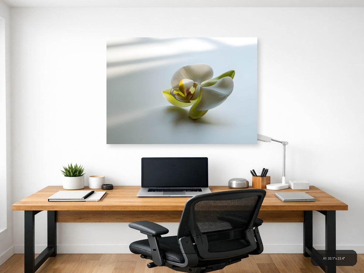White Orchid with Yellow Center Minimalist Wall Art — A1 / Office